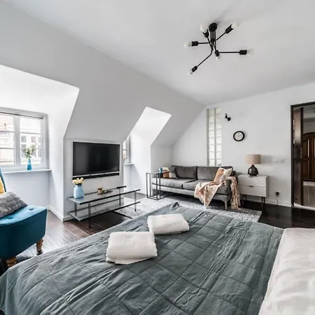 Wroniecka In Center Apartment *
